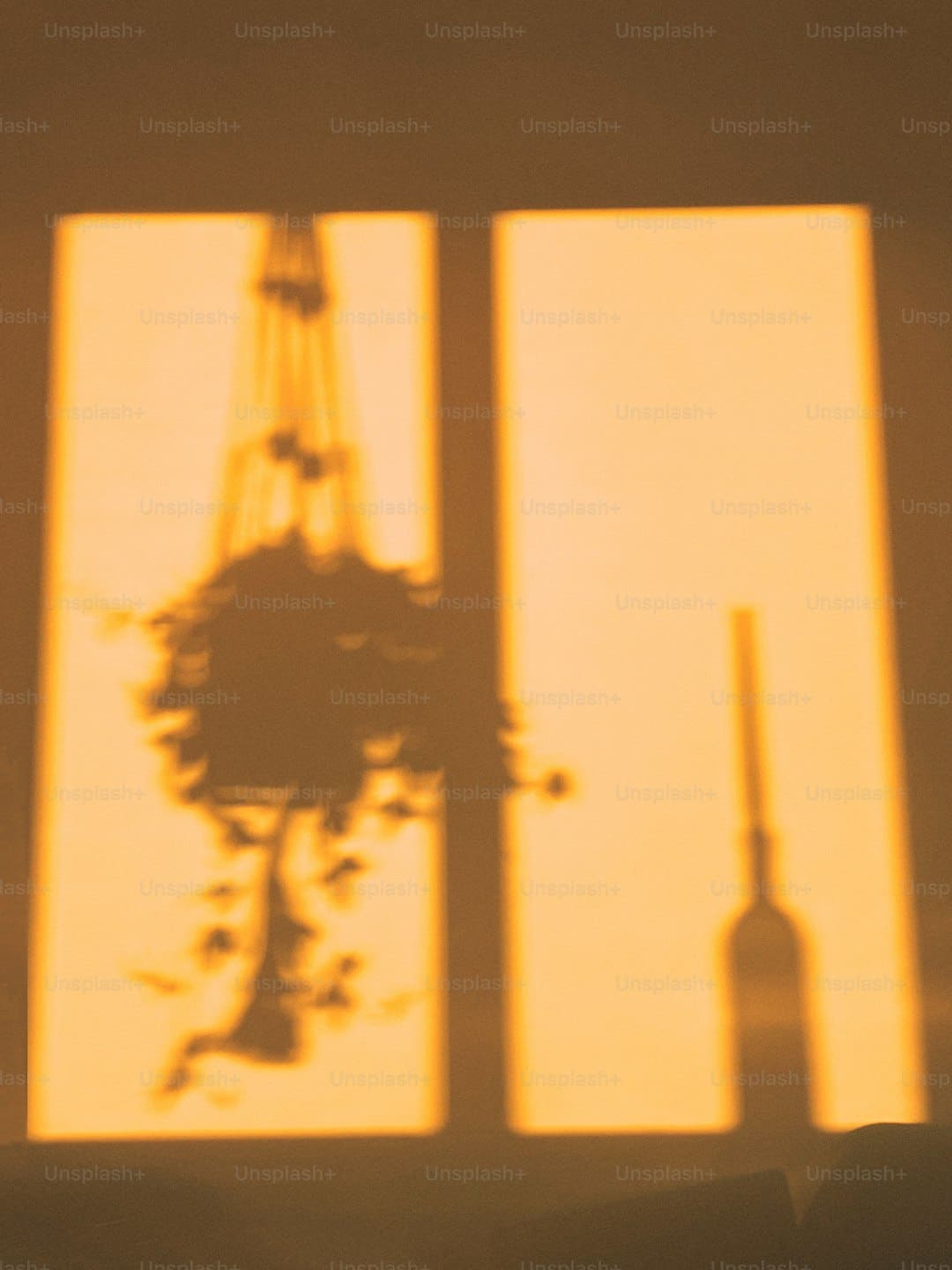 谁是孔门最可爱的弟子